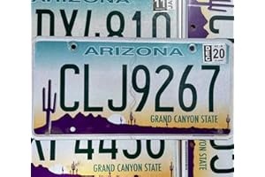 GENERIC Authentic License Plate - All 50 States + Territories License Plate Tags in Good Condition, Great for Decoration, Art Projects, Garages, Unique Gifts, Man Caves. (Arizona)