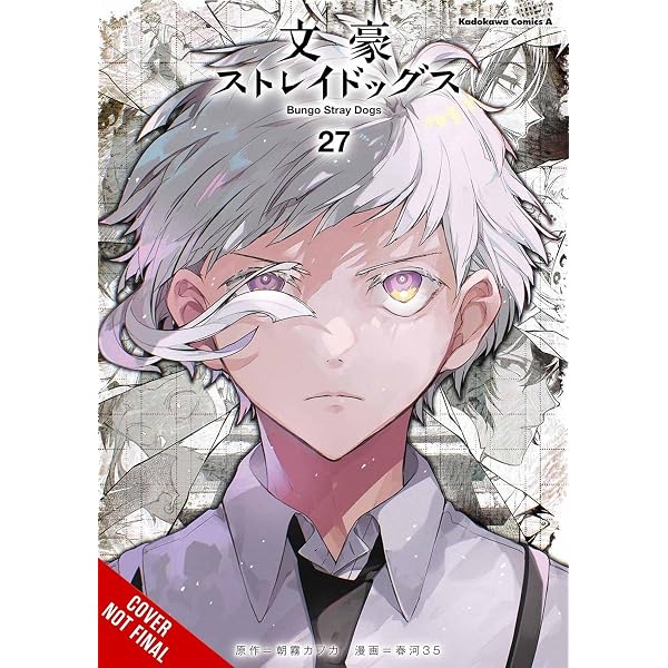 Amazon.com: 文豪ストレイドッグス 28 [Bungō Stray Dogs 28