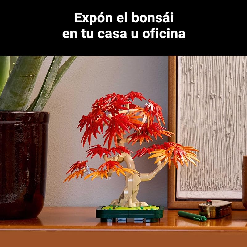 Botanicals Bonsái de Arce Rojo Japonés 10348
