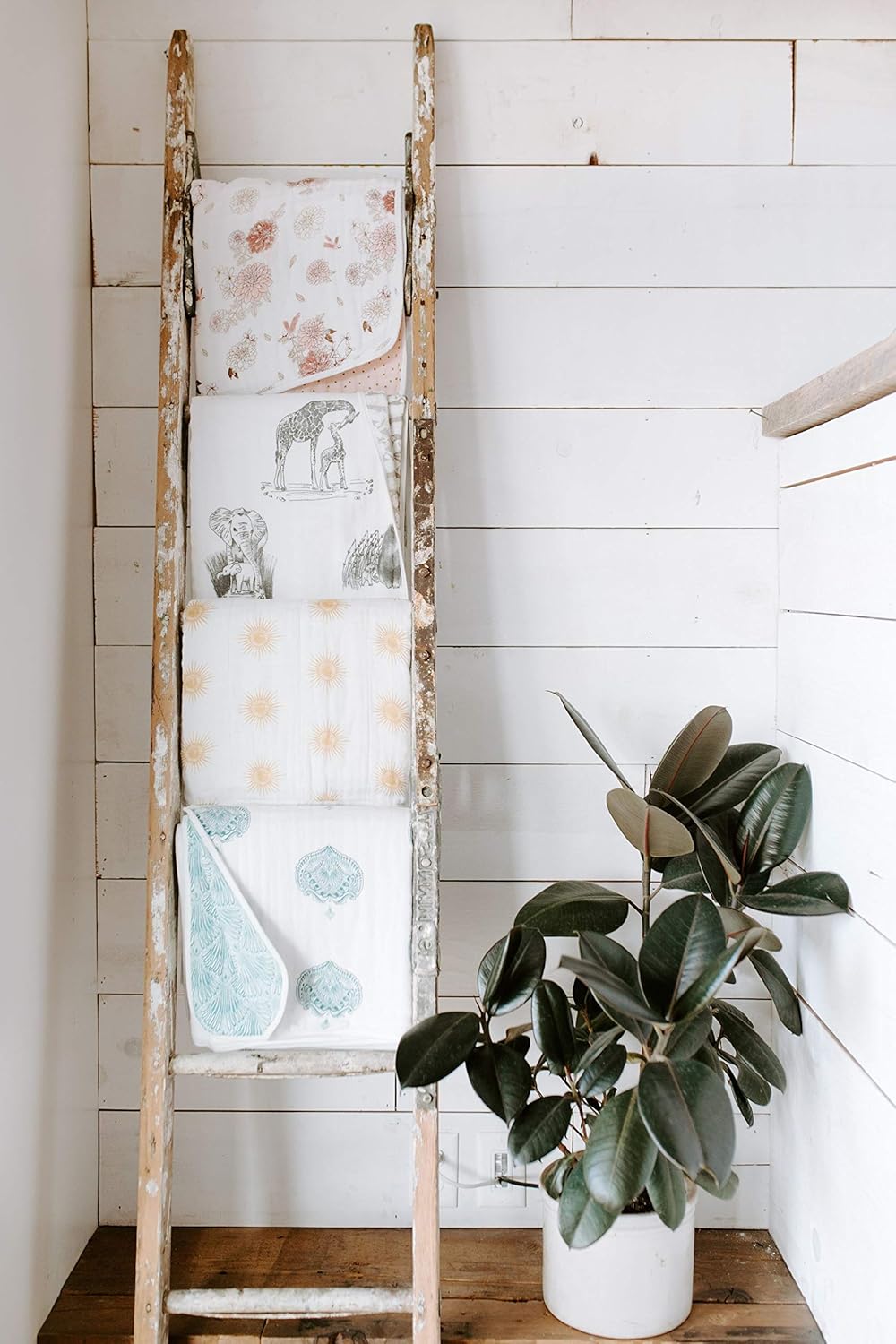 aden anais golden sun