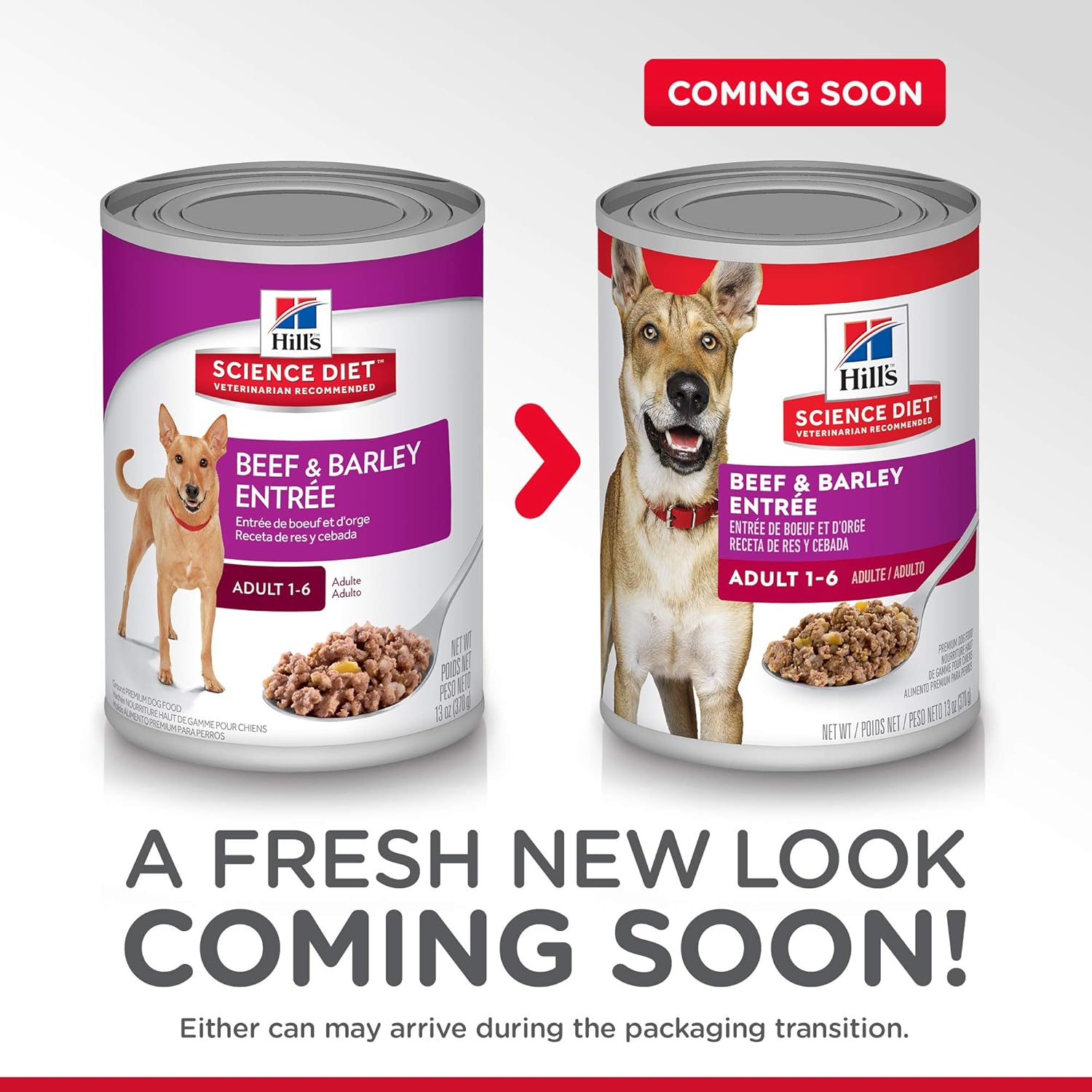 Hill's Science Diet Adult Beef Barley Entrée Canned Dog Food, 13 oz, 12