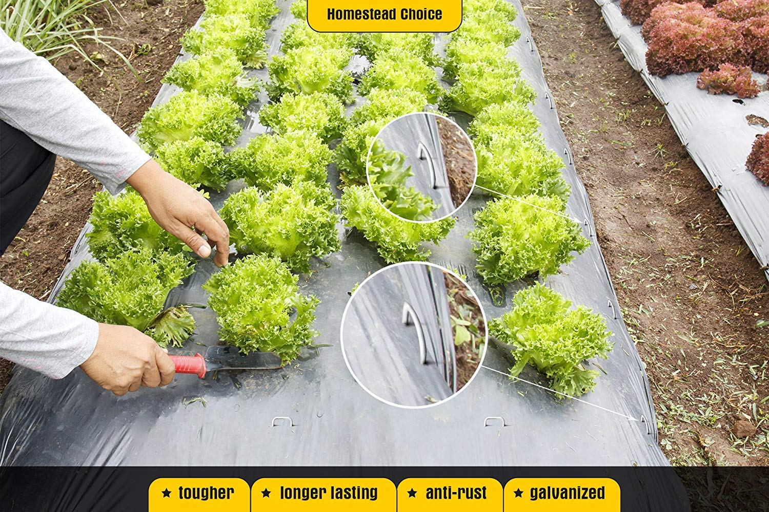 Homestead Choice - Grapas de jardín galvanizadas DE 15, 2 cm ...
