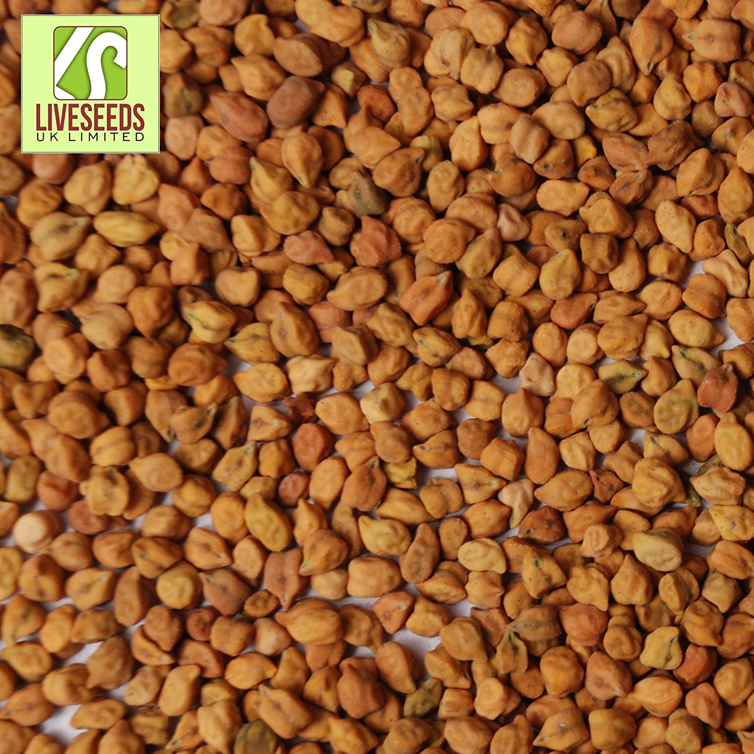 Shop Meeko Liveseeds - Brown de garbanzo Brotes Semillas ...