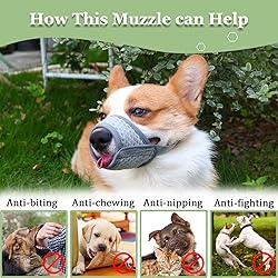 Mayerzon Dog Muzzle, Soft Mesh Muzzle for Small