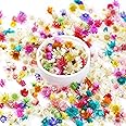 300 PCS Mini Dried Flowers for Resin, Small Dried Flowers for Crafts, Mini-Dried Flower Bulk for Resin Art, Jewelry, Candle M
