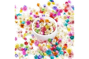 OXDFK 300 PCS Mini Dried Flowers for Resin, Small Dried Flowers for Crafts, Mini-Dried Flower Bulk for Resin Art, Jewelry, Candle Making, Soap Making and DIY Crafts