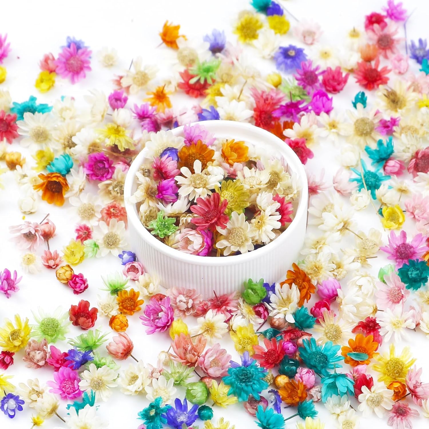 Photo 1 of 300 PCS Mini Dried Flowers for Resin, Small Dried Flowers for Crafts, Mini-Dried Flower Bulk for Resin Art, Jewelry, Candle Making, Soap Making and DIY Crafts