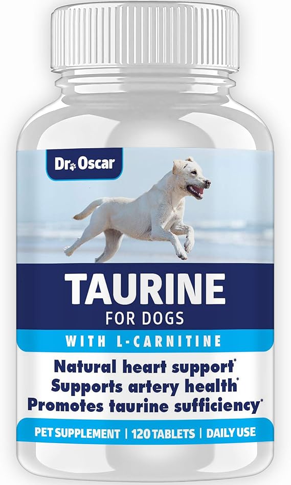 dcm in dogs taurine