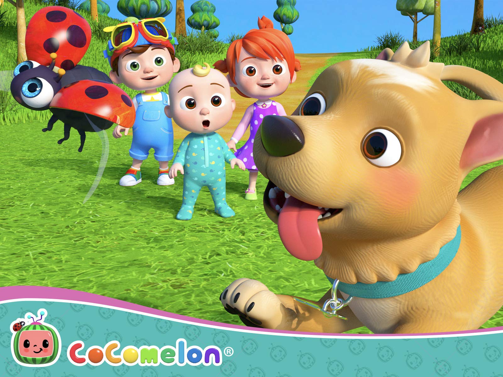 Watch Kids Songs and Nursery Rhymes Prime Video