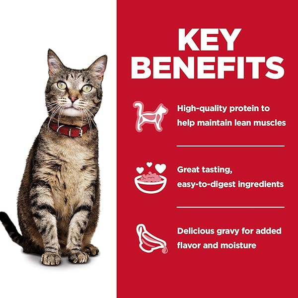 HILL’S SCIENCE DIET ADULT 1-6 WET CAT FOOD VARIETY PACK, CHICKEN, TUNA, & OCEAN FISH, 2.8 OZ. POUCHES, 12-PACK