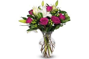 BENCHMARK BOUQUETS - Pink Elegance (Glass Vase Included), Next-Day Delivery, Gift Fresh Flowers for Birthday, Anniversary, Ge