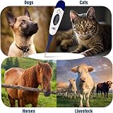 Thermometer World Digital Pet Thermometer with Veterinary Hobday Chart view 7