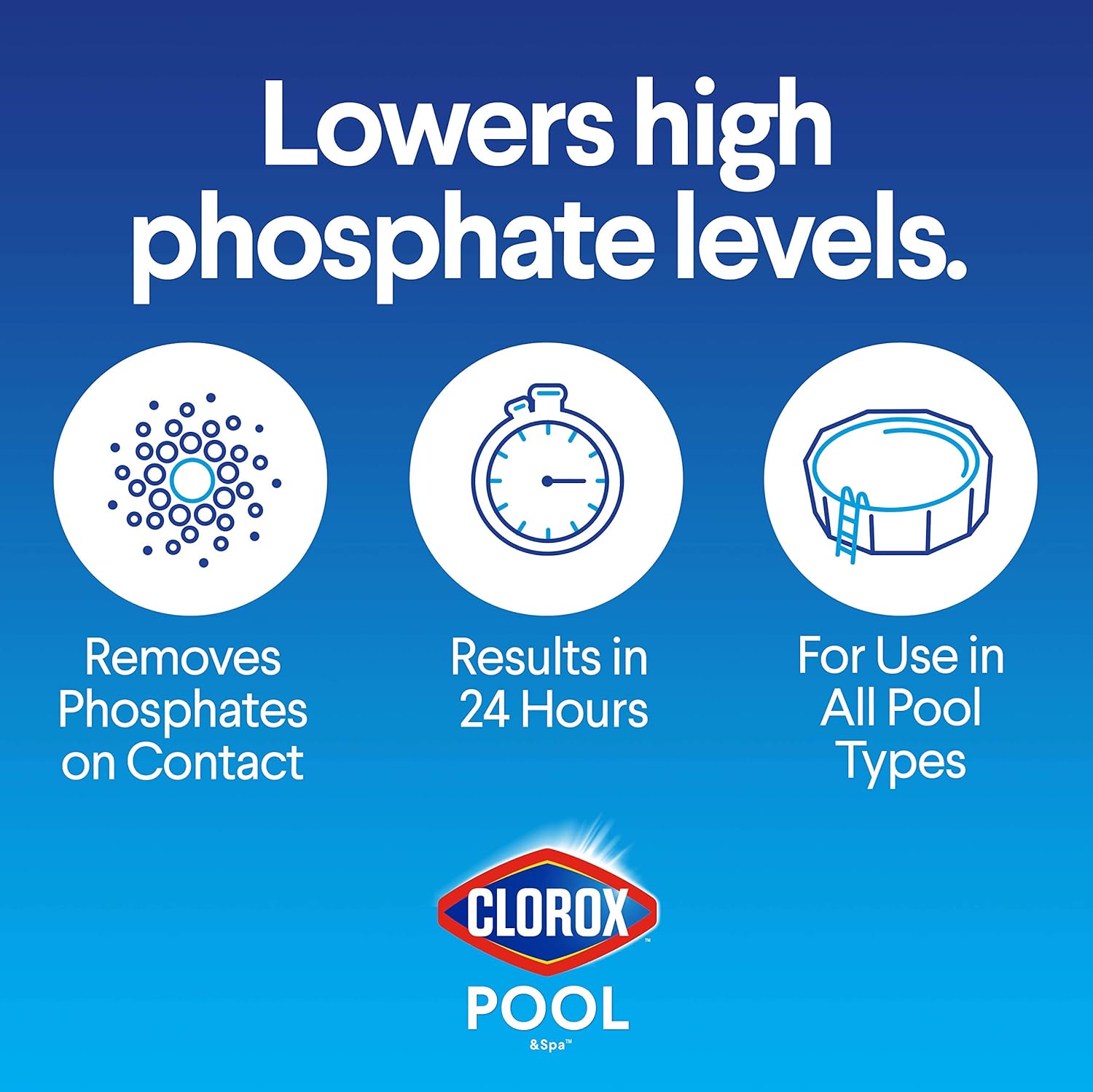 Clorox Pool&Spa 55232CLX Phosphate Remover, 1-Quart, White : Garden & Outdoor