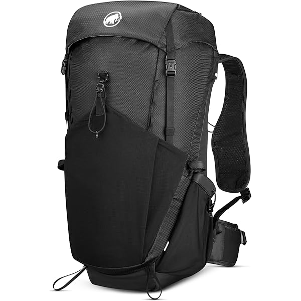 Vaude Moab Pro II 22L Protector Rugzak - zwart