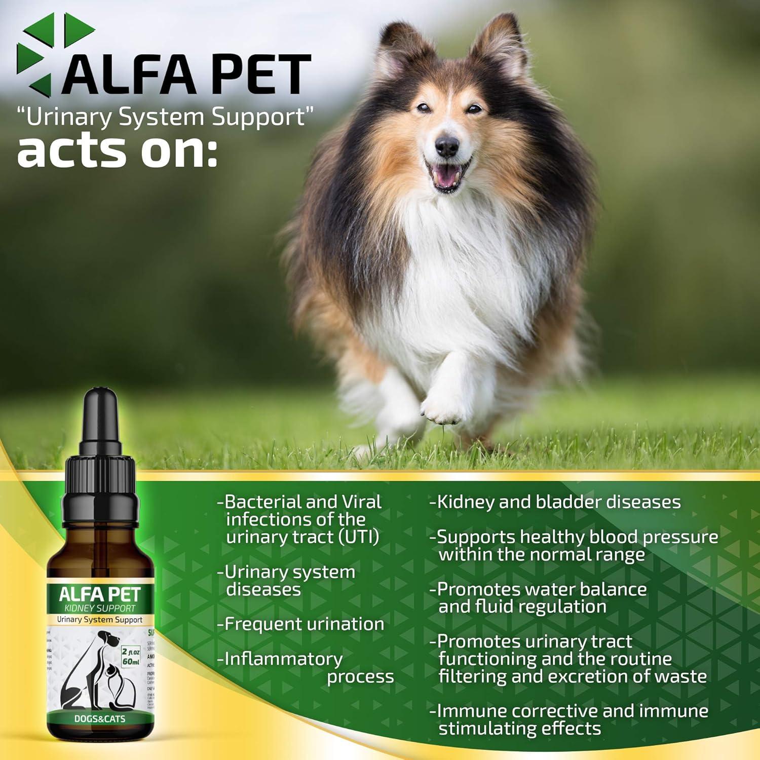Amazon Com Alfa Pet Uti Treatment For Cats And Dogs Kidney Remedy With Cranberry Kidney Bladder Urinary Support Relief Frequent Urination 2oz Pet Supplies