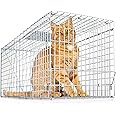 eXuby Large Cat Trap for Stray/Feral Cats & Other Animals - 32"x12"x13” - Catch Them Live & Relocate - Extra Large 8.5" Trigger Platform - Also for; Racoon, Rabbit, Possum, Skunk, Bobcat, Squirrel