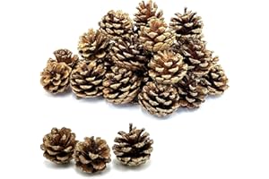 30pcs Christmas Large Pine Cones with Gold Glitter, 1.1-1.5 inch Natural Pinecones for Decorating,Pine Cones Decorations for 