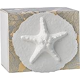 Earth Memorials The Favorite Place Biodegradable Urn for Human Ashes, Small Starfish Urn Box with Silver Coral