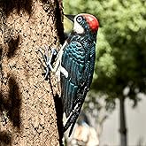 Metal Woodpecker Bird Figurine - Beautiful Backyard & Garden Gift, Birds Statue Sculpture Art Large Realistic - Outdoor Spring, Summer Metal Yard Art for Lawn Ornament Decoration Ornament Decor 7" H
