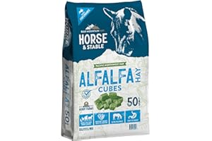 Blue Mountain Hay High-Altitude Alfalfa Hay Cubes, 50 lb | High Energy - Ideal for Young, Baby and Lactating Animals Including Horses, Goats, Rabbits, Guinea Pigs & Other Small Pets