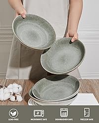 Pokini 16 Piece Double Bowl Dinnerware Sets, Stain
