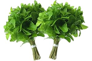 RANI BRAND AUTHENTIC INDIAN PRODUCTS Rani Fresh Mint (Pudina) Leaves 2oz - 4oz,Pack of 2 ~ All Natural | Vegan | Gluten Friendly | NON-GMO | Product of USA