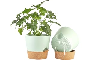 FaithLand 2-Pack 10 Inch Planter Pots for Indoor Outdoor Plants, Self Watering Flower Pots with Deep Reservoir, Green with Terracotta …