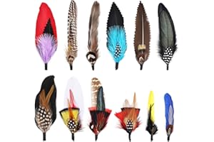 MehelloFeather Hat Feathers 12 PCS Natural Feathers Mixed Assorted Hats Feathers for Cowboy Hat Fedoras Trilby Hats Panama Hat DIY Costumes Decorations