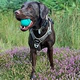 SPORTSPET Tough Bounce Rubber Dog Balls 65mm 3 Pack Tennis Size view 5