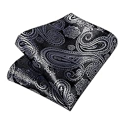 DiBanGu Silk Paisley Ties for Men Woven Necktie and