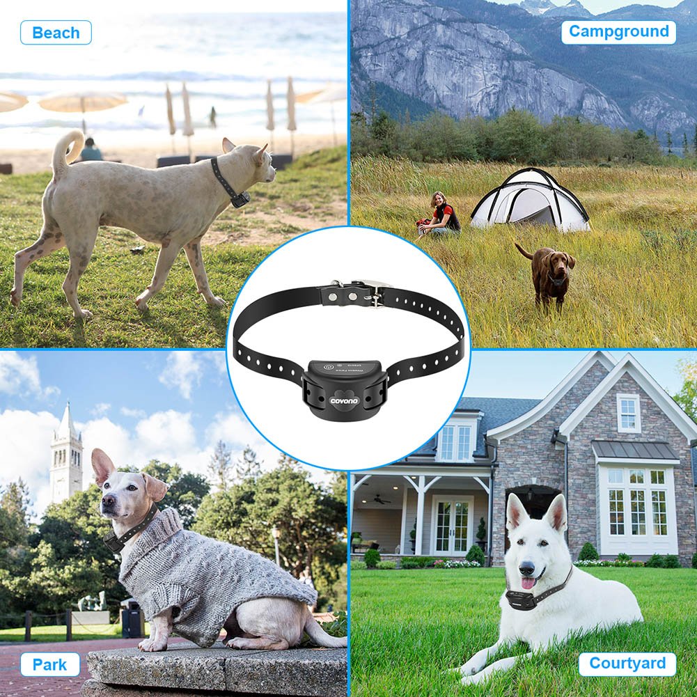 covono dog collar