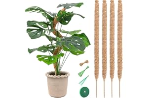 Byjogger Moss Pole, Moss Pole for Plants Monstera, Moss Poles for Climbing Plants, 25'' Monstera Moss Pole, Plant Support for