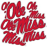 Desert Cactus University of Mississippi Sticker Rebels Ole Miss U of M Vinyl Decals Laptop Water Bottle Car Scrapbook T3 (Type 3-1)