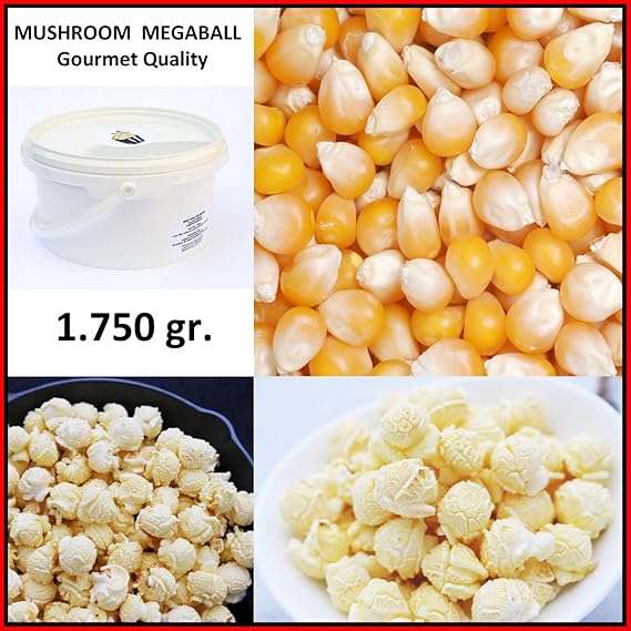 Palomitas de Maiz MUSHROOM MEGABOLA Redondas XXL 1:60 ...
