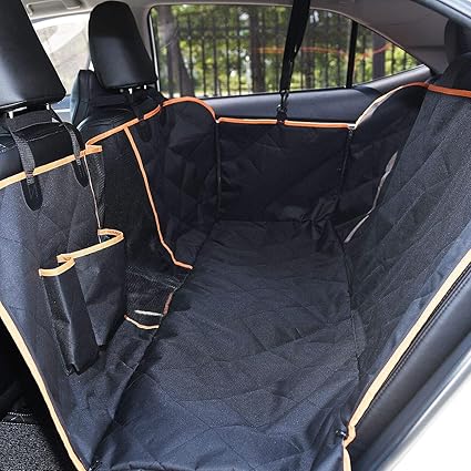 amazon siege auto chien