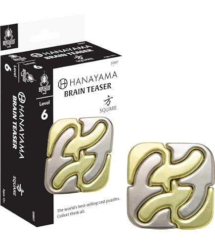 Amazon.com: Hanayama News Puzzle : Toys & Games