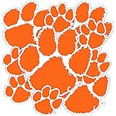 Desert Cactus Clemson University Sticker Tigers Vinyl Decals Laptop Water Bottle Car Scrapbook Sheet T3 (Type 3-1)