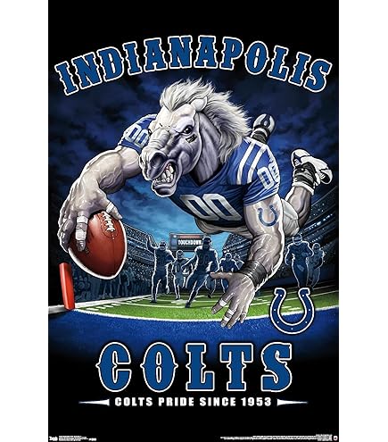 INDIANAPOLIS COLTS Helmet NFL Team Magnet Large 12" Home Auto Fremont Die