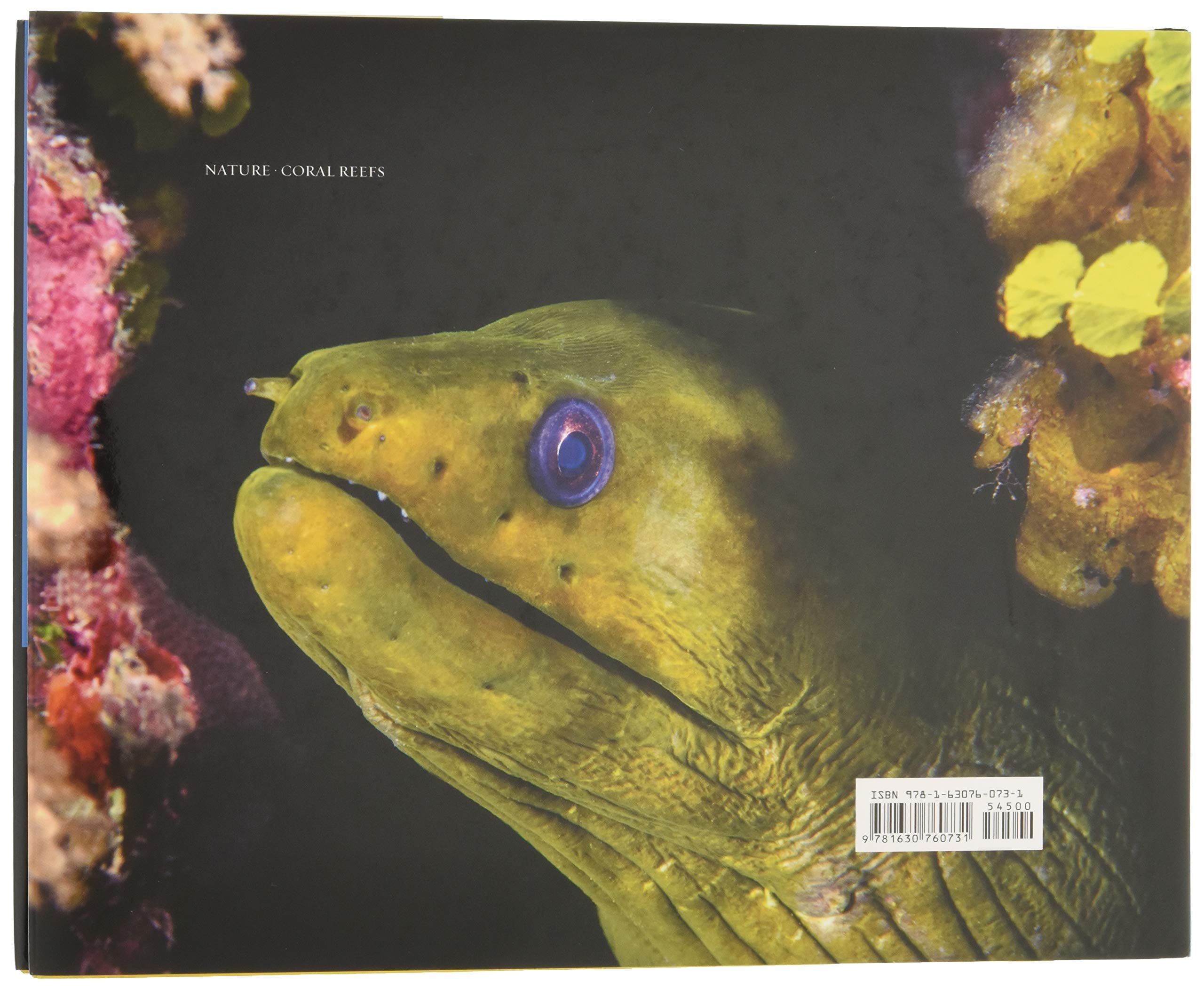 Reef Libre Cubathe Last Best Reefs In The World Robert - 