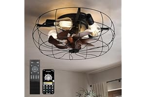 CubiCubi Modern Ceiling Fans, 20 Inch Black Ceiling Fan with Lights and Remote Control, APP, Fandelier with 6 Wind Speeds, Low Profile Ceiling Fans with Lights for Bedroom, Office