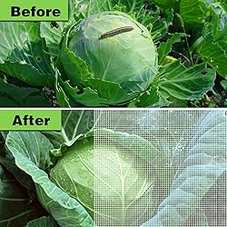 Garden Netting Ultra Fine 8x10Ft, Plant