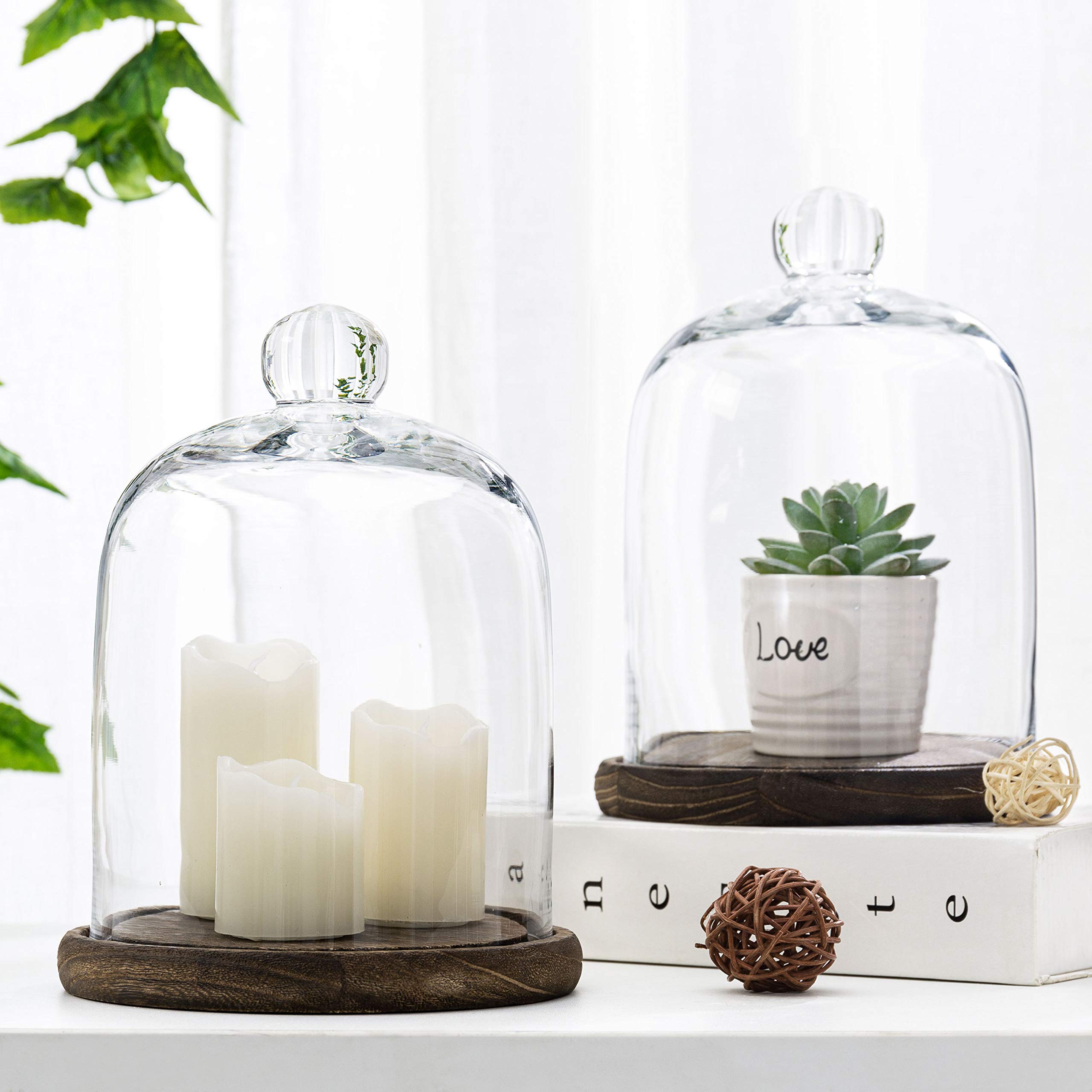 Photo 1 of MyGift Clear Cloche Glass Dome, Display Bell Jar with Top Handle and Rustic Brown Solid Wood Base, Set of 2