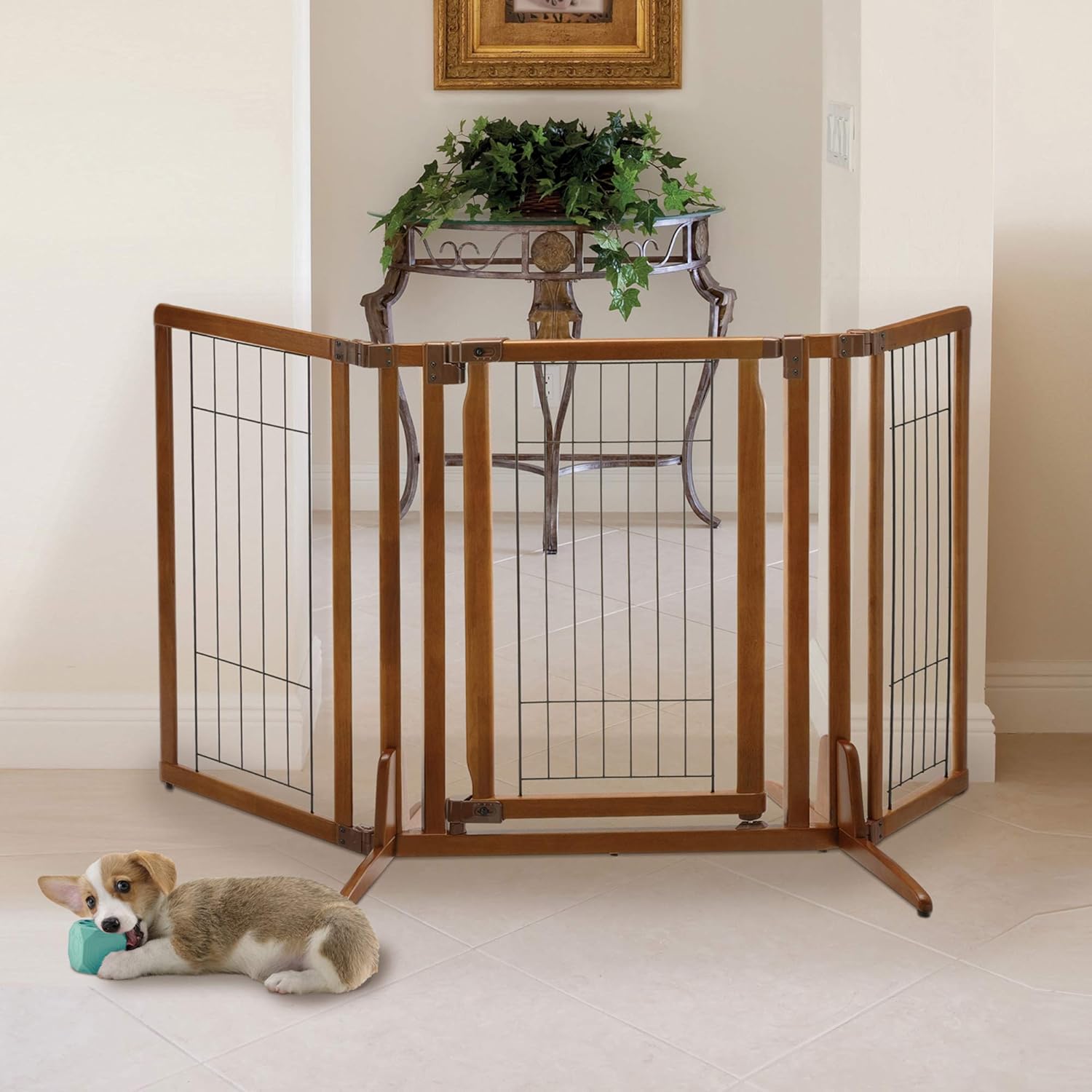 Richell Premium Plus Freestanding Pet Gate with Door : Pet Kennels : Pet Supplies