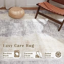 jinchan Area Rug 2x3 Washable Rug Doormat Modern