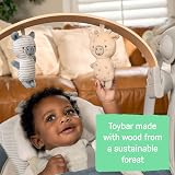Ingenuity Swing n Go Portable Swing Chambray 5 Speeds TrueSpeed 0-9 Months view 5
