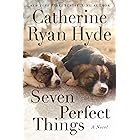 Seven Perfect Things: A Novel