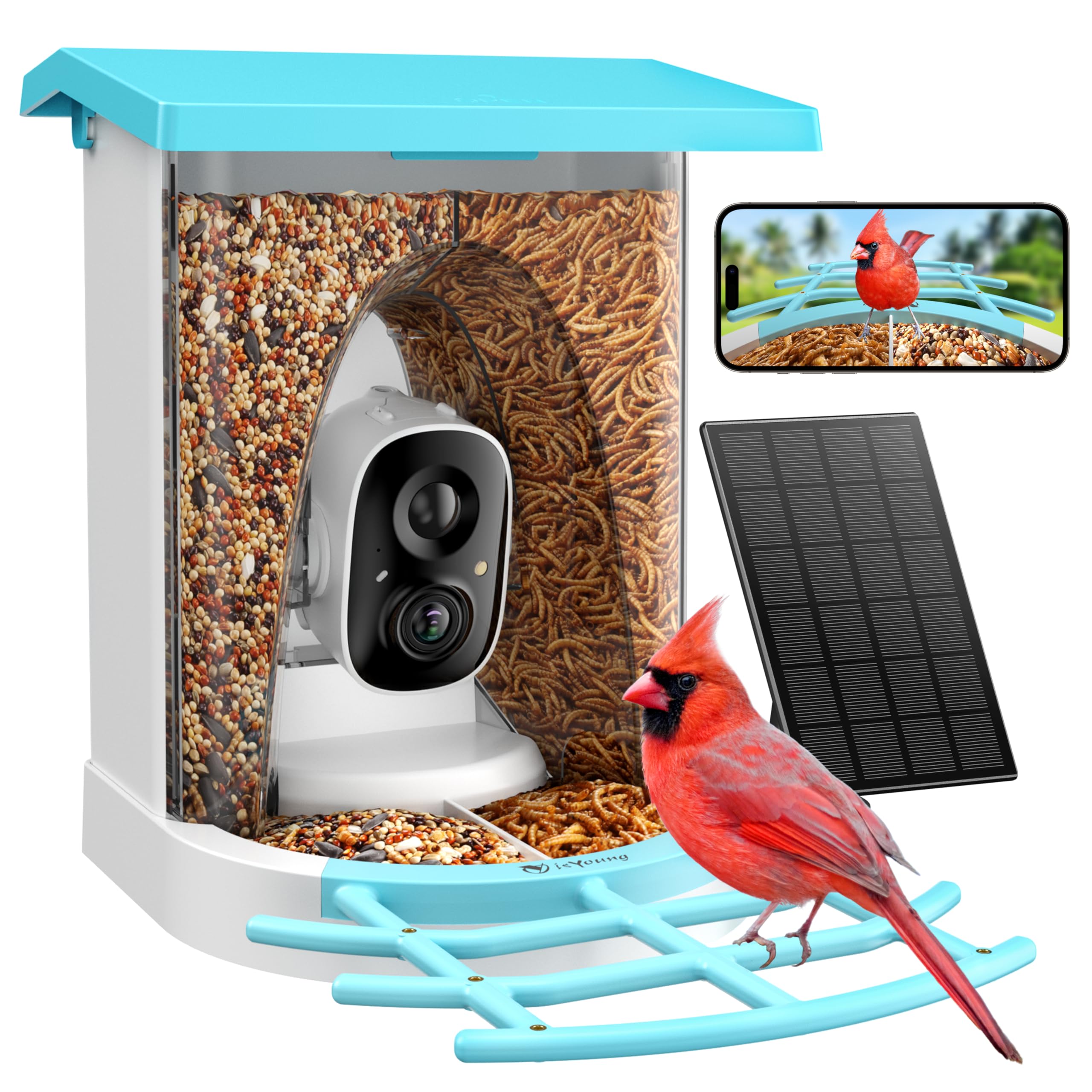 isYoung Birdlook® Smart Bird Feeder with Camera,2K HD Dual Granary Bird ...
