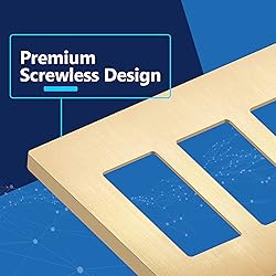 LIDER Brushed Finish Decorator Switch