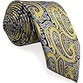 S&W SHLAX&WING Mens Neckties Paisley Ties Multicolored Classic for Wedding Party
