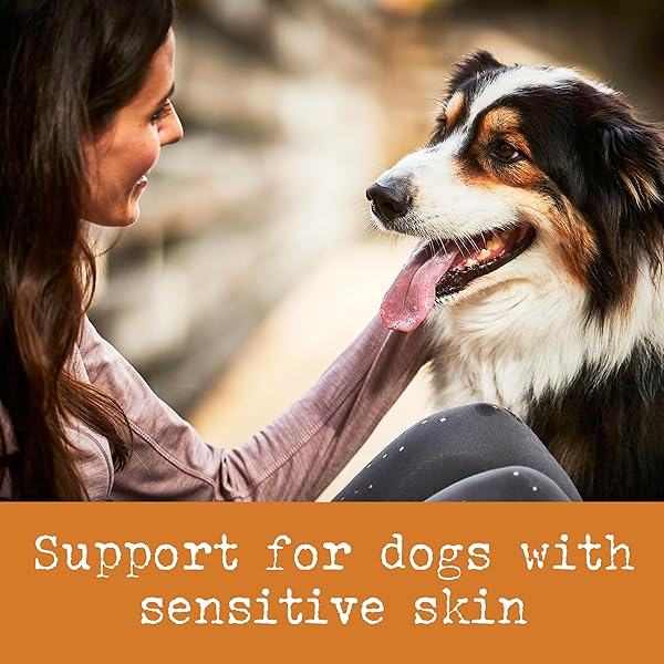 EVERROOT DOG SKIN CARE DOG SUPPLEMENT BY PURINA, SKIN & COAT LIQUID PACK WITH SAFFLOWER OIL – 14 CT. BOX